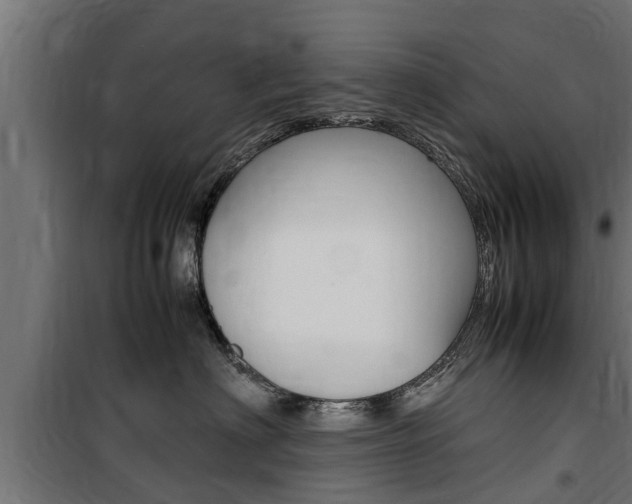 X0000100760622200806190910