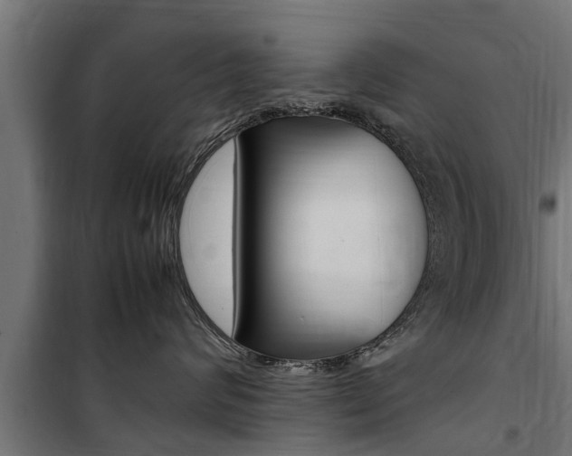 X0000100760624200806190910