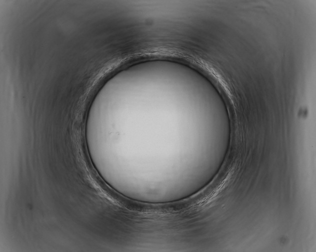 X0000100760625200806190910