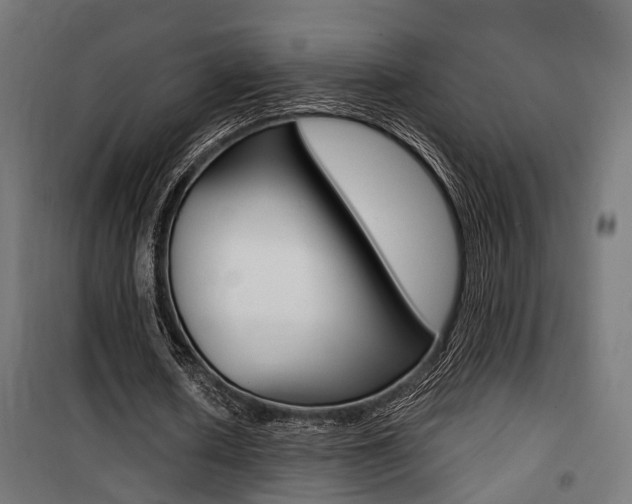 X0000100760626200806190910