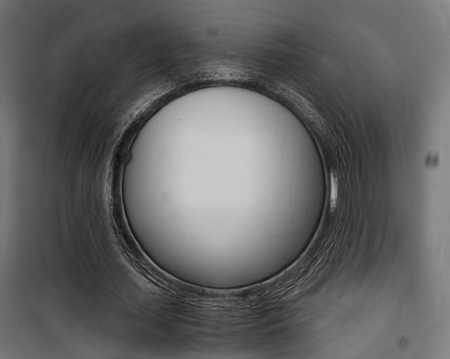 X0000100760627200806190910