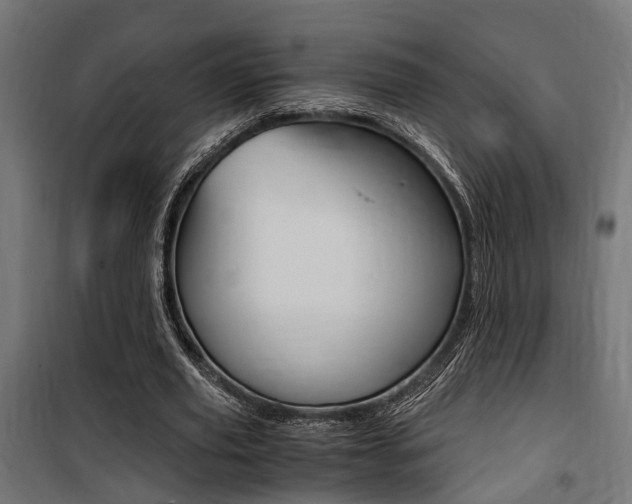 X0000100760629200806190910