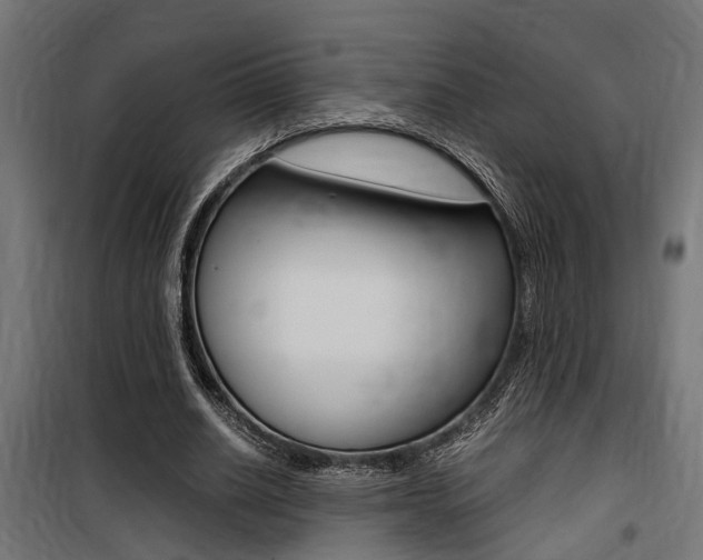 X0000100760630200806190910