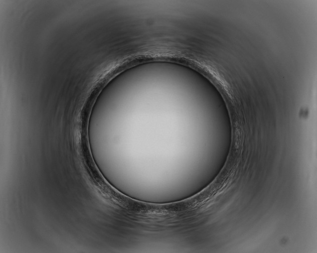 X0000100760631200806190910