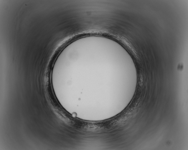 X0000100760632200806190910