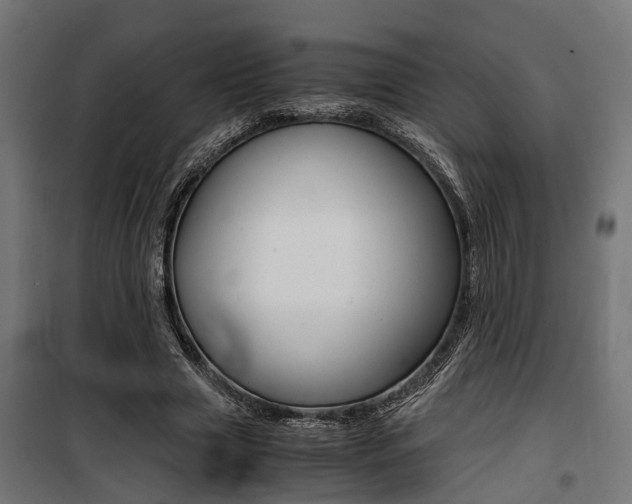 X0000100760633200806190910