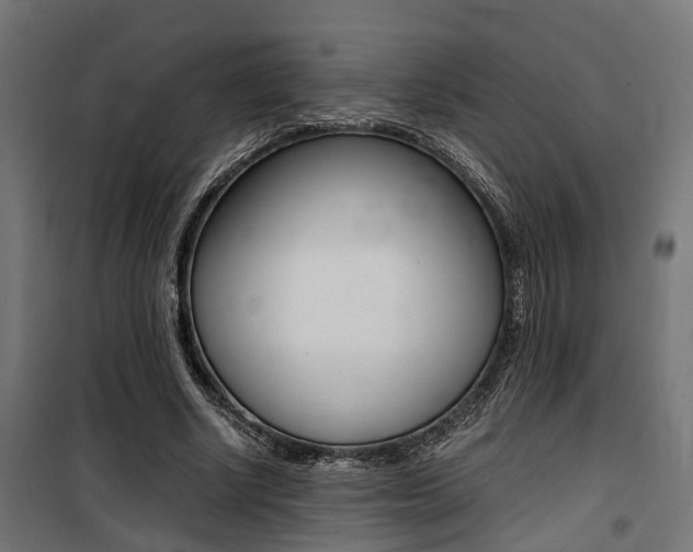 X0000100760634200806190910