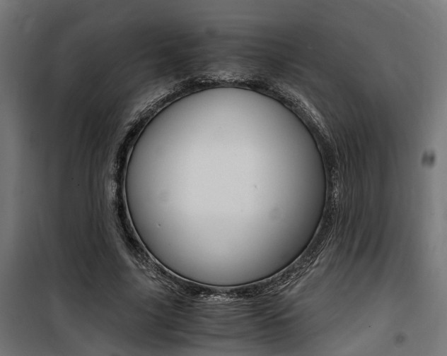 X0000100760635200806190910