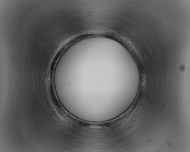 X0000100760636200806190910