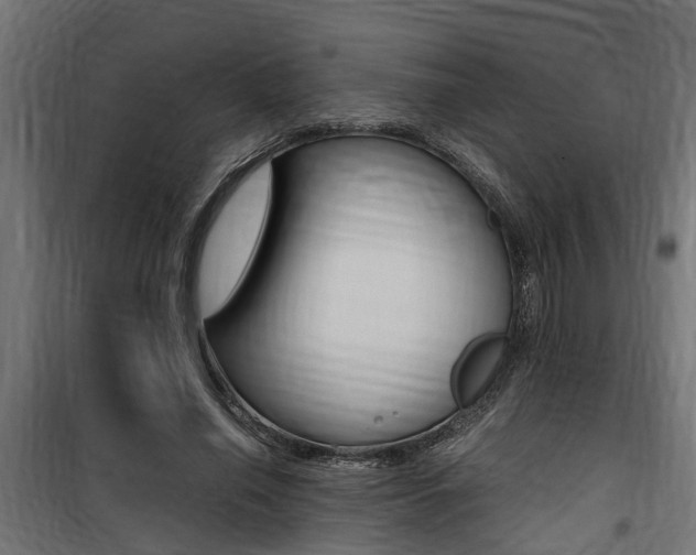 X0000100760638200806190910