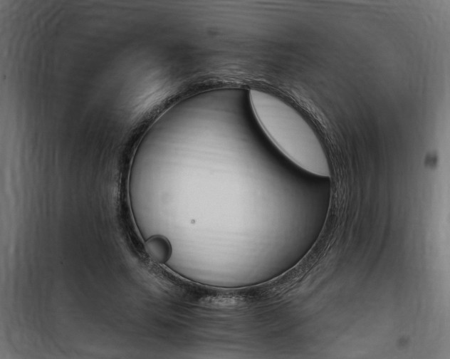 X0000100760639200806190910