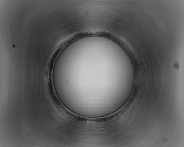 X0000100760640200806190910