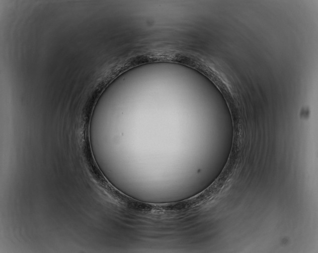 X0000100760641200806190910