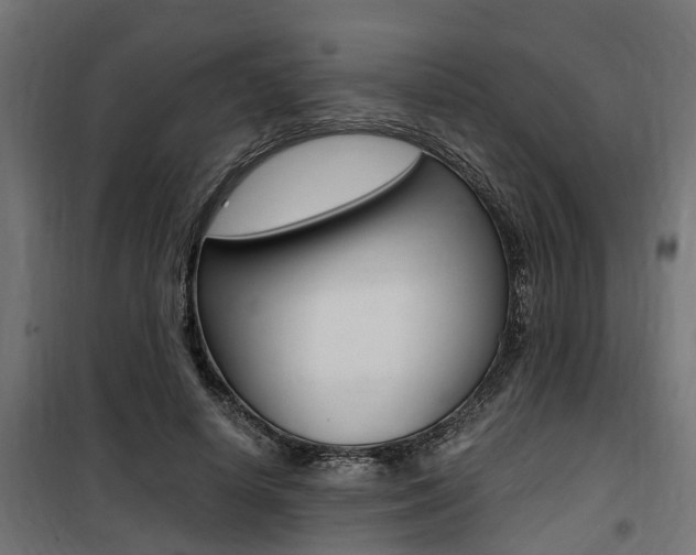 X0000100760642200806190910