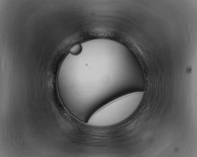 X0000100760643200806190910