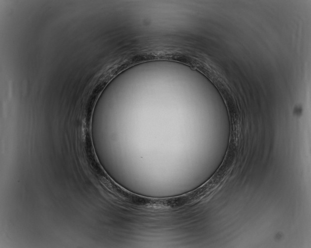 X0000100760644200806190910