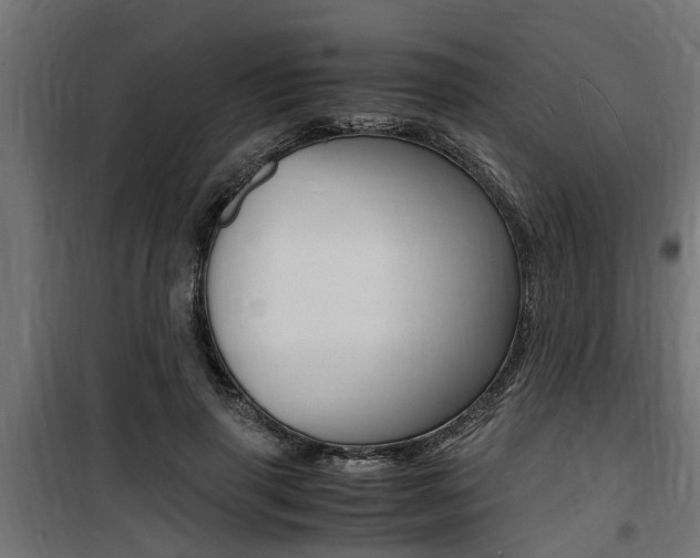 X0000100760645200806190910