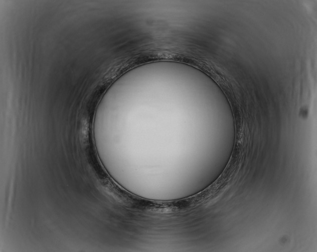 X0000100760646200806190910