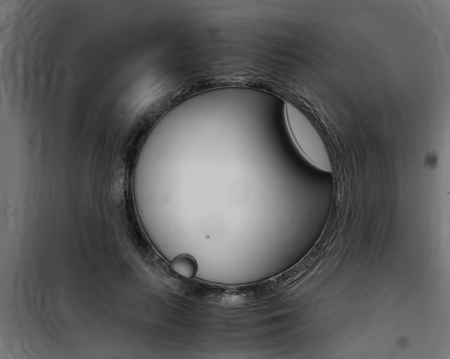 X0000100760647200806190910