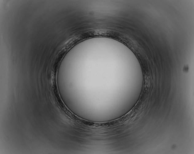 X0000100760648200806190910