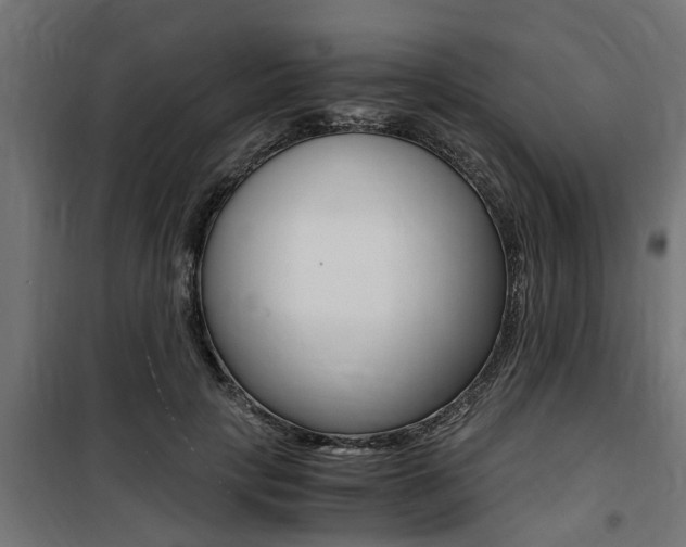 X0000100760649200806190910