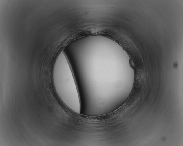 X0000100760650200806190910