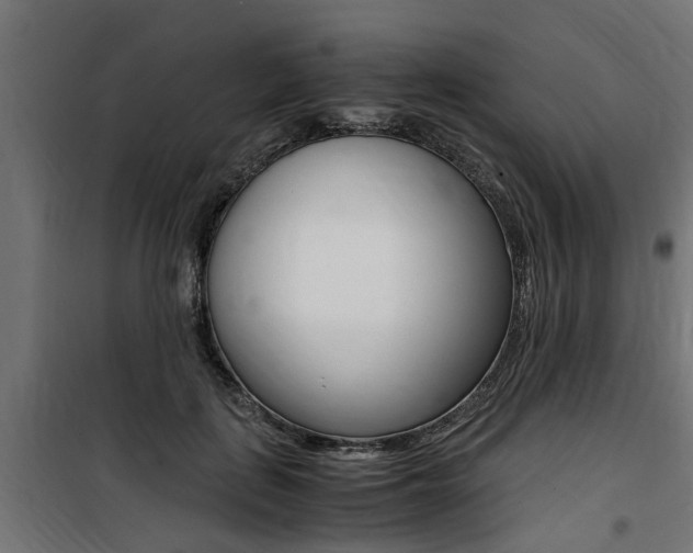 X0000100760651200806190910