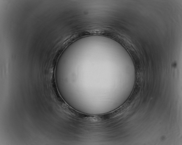 X0000100760652200806190910