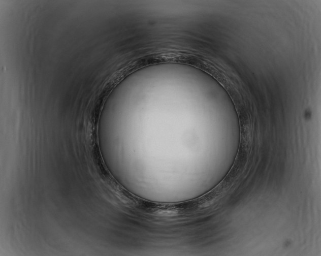 X0000100760653200806190910