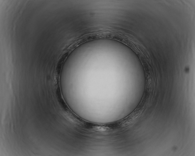 X0000100760654200806190910