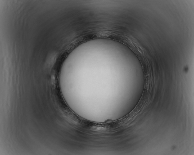 X0000100760655200806190910