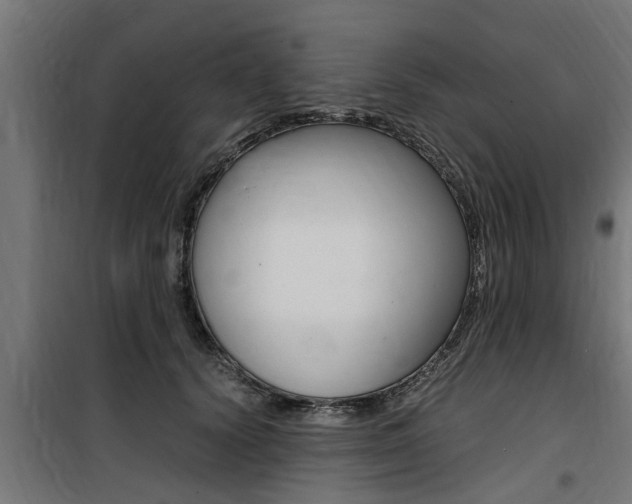 X0000100760656200806190910