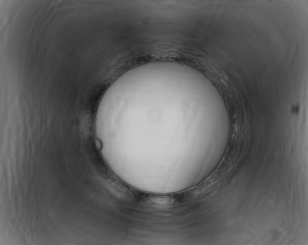 X0000100760659200806190910