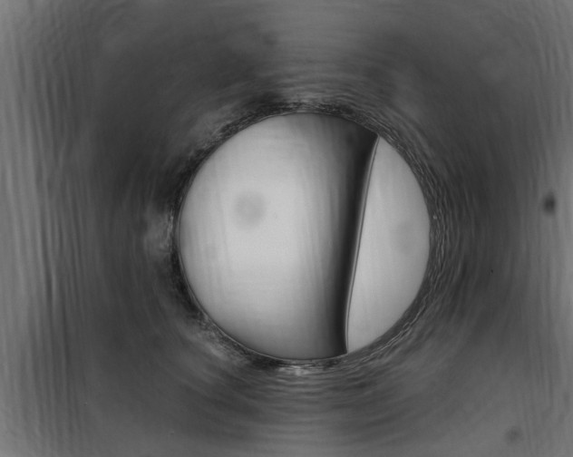 X0000100760660200806190910