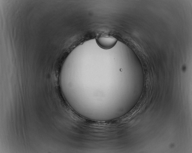 X0000100760661200806190910