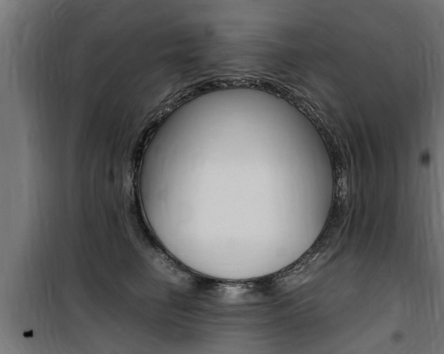 X0000100760662200806190910