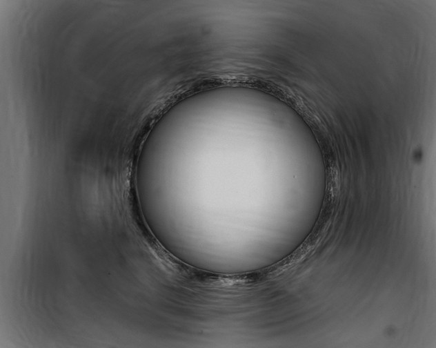 X0000100760664200806190910