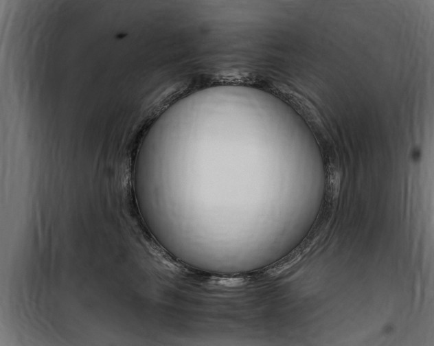 X0000100760665200806190910