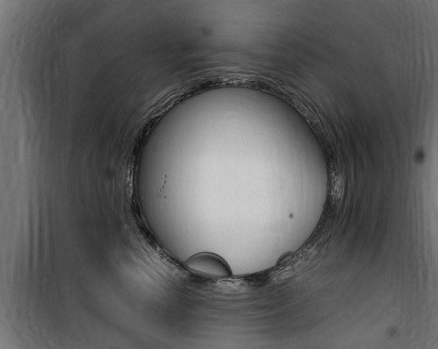 X0000100760666200806190910