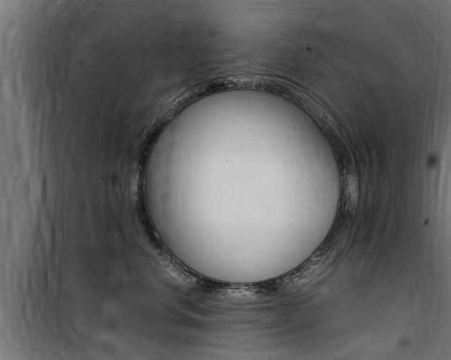 X0000100760668200806190910