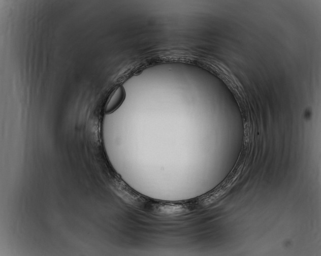 X0000100760669200806190910