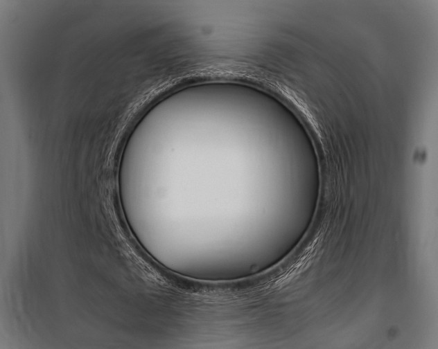 X0000100760673200806190910