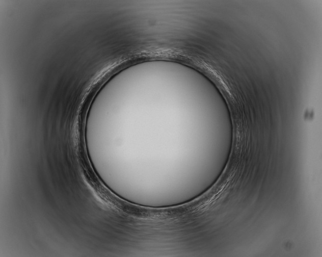 X0000100760674200806190910