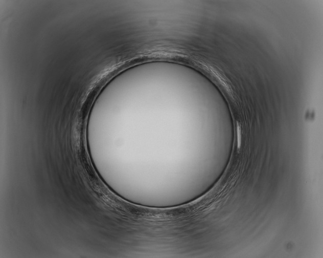 X0000100760675200806190910