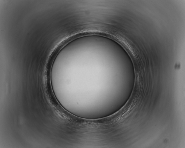 X0000100760676200806190910