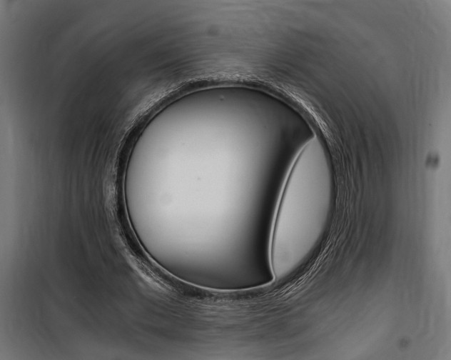 X0000100760677200806190910