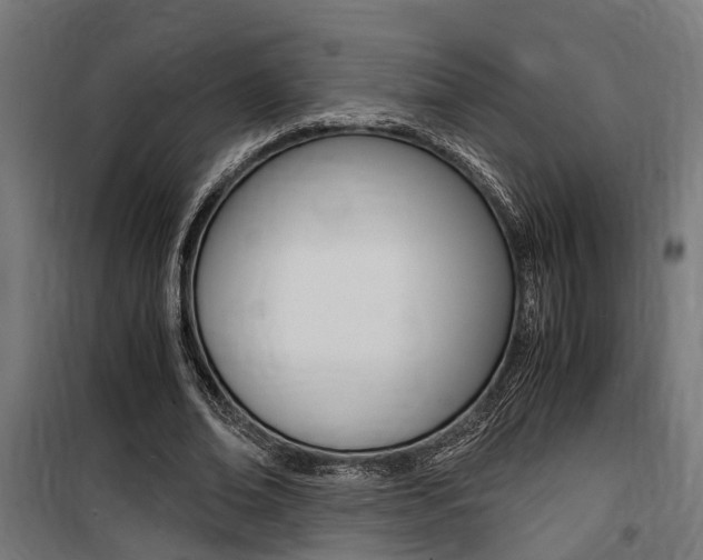 X0000100760678200806190909