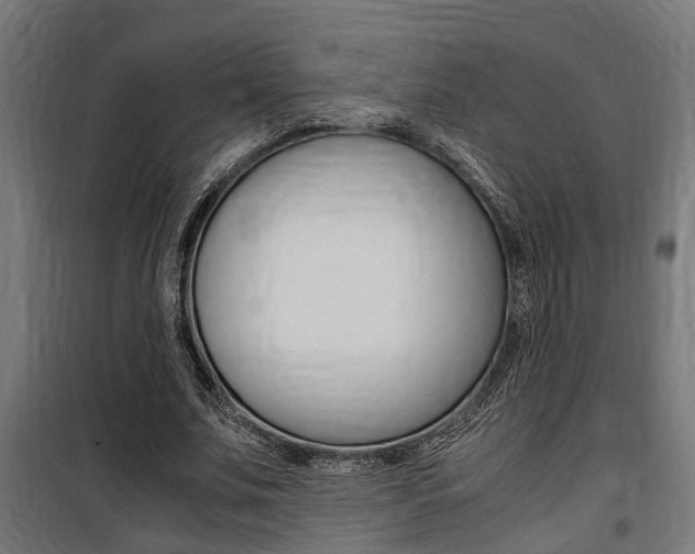 X0000100760679200806190909