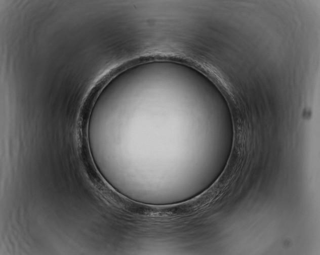 X0000100760680200806190909