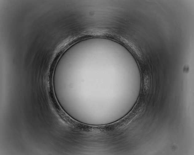 X0000100760682200806190909